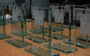 Rising Star Award trophies